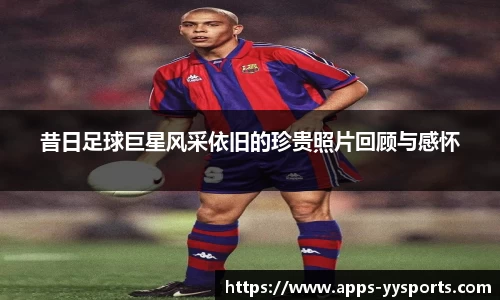 yy易游体育入口