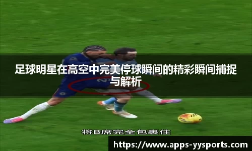 yy易游体育平台